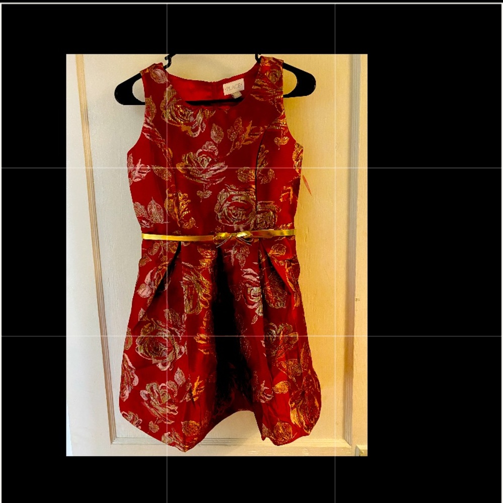 New with tags Childrens size 14 Dress